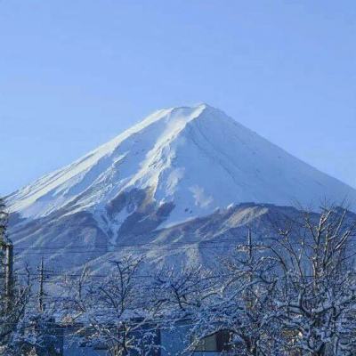 遮天斗帝安卓下载